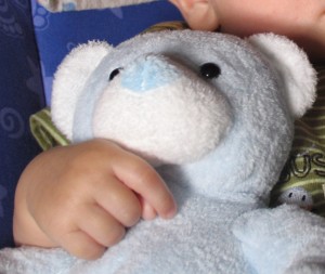 teddybear