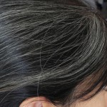 The Mrs. and her Gray