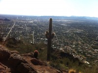 view