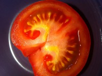 tomato