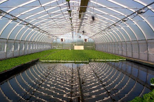 CommercialFarm